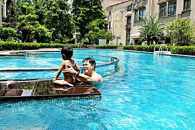 摩托变单车 《宝可梦：朱＆紫》鬼畜BUG视频赏